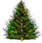 [ Live Christmas Tree ]